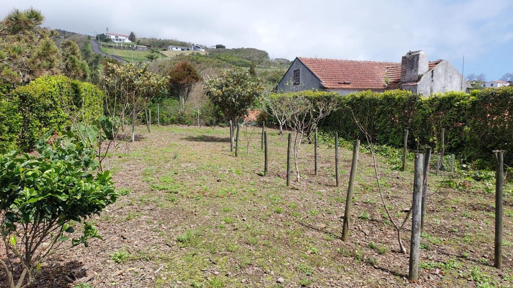 Retiro Das Camelias 1 Lajes das Flores المظهر الخارجي الصورة