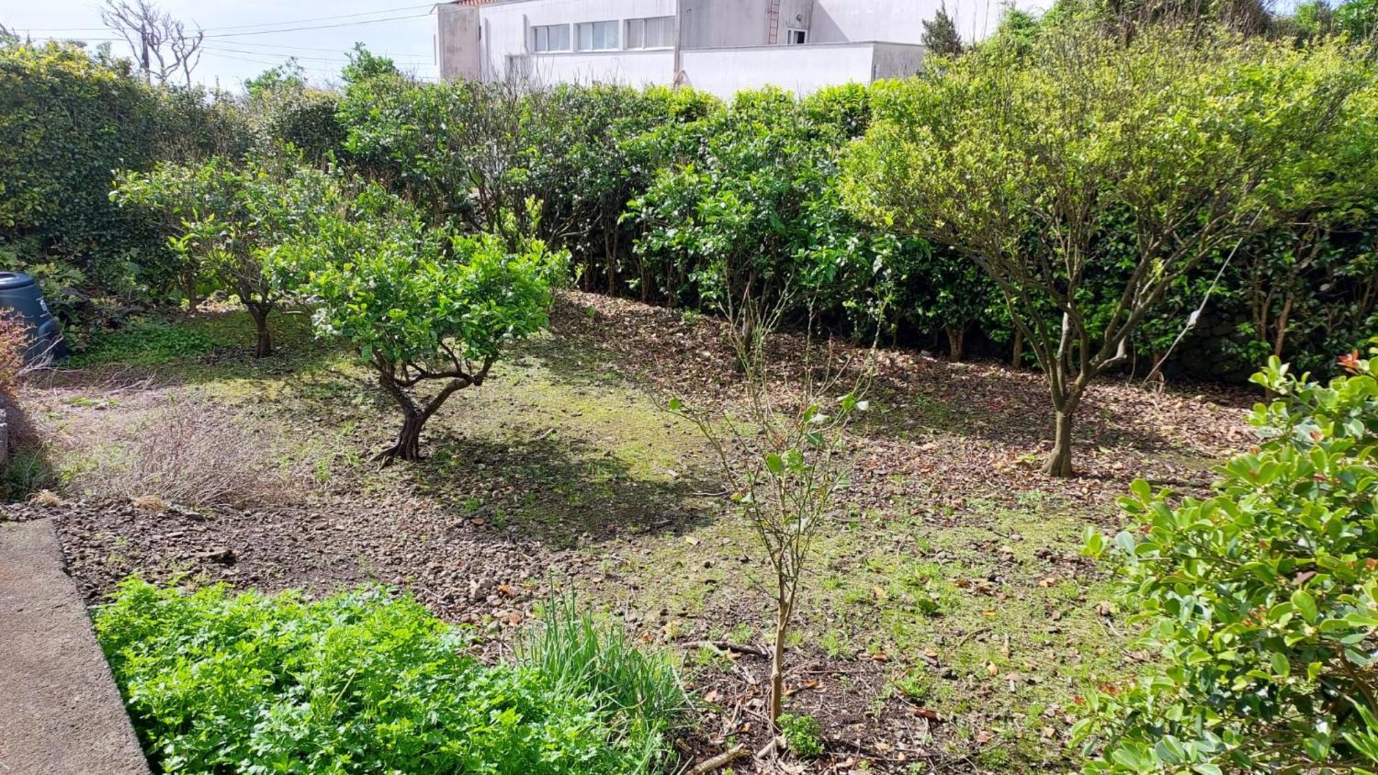 Retiro Das Camelias 1 Lajes das Flores المظهر الخارجي الصورة