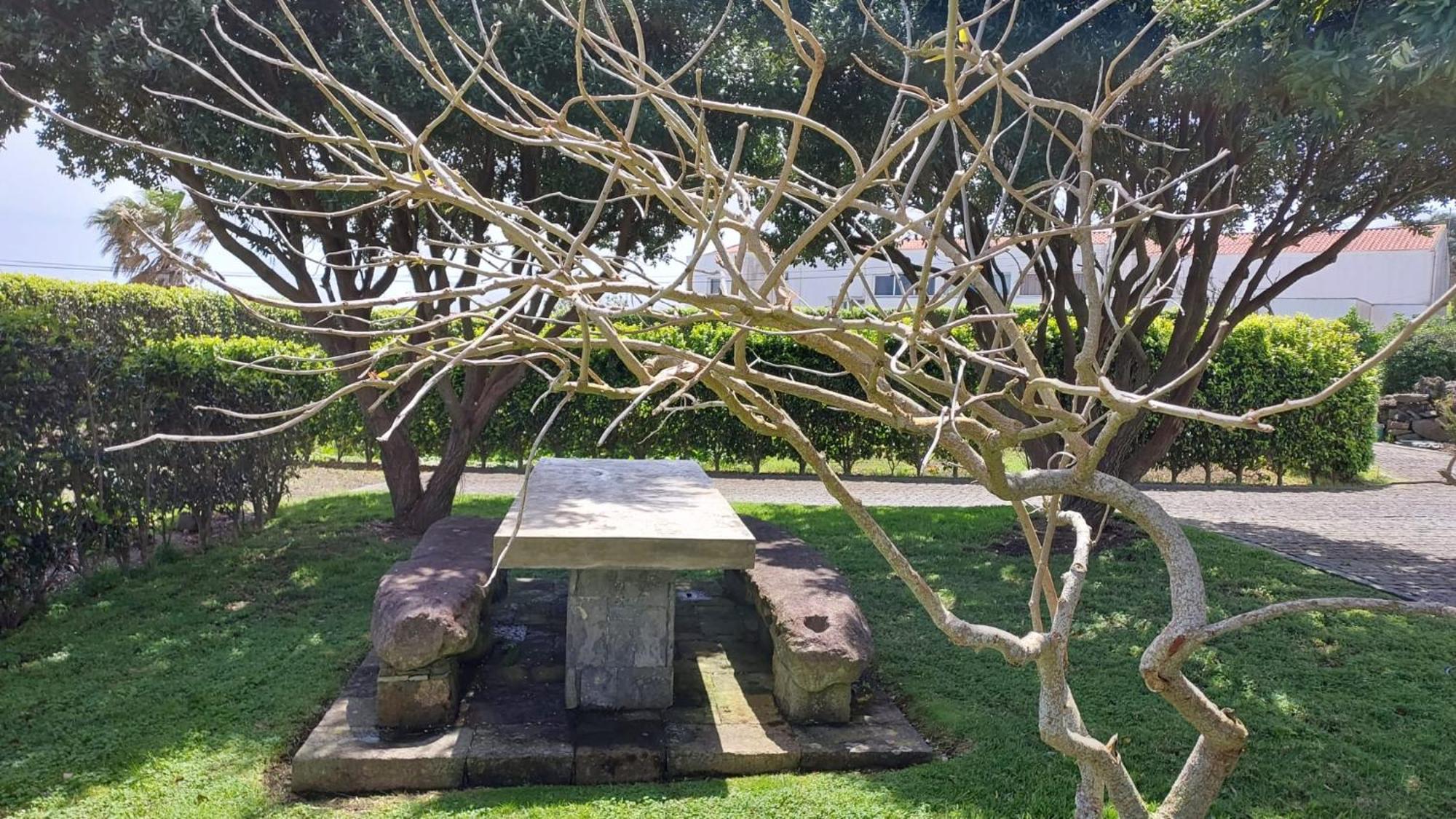 Retiro Das Camelias 1 Lajes das Flores المظهر الخارجي الصورة
